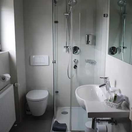 Hotel Baeren 3*